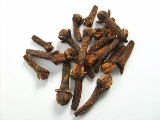 Whole dried cloves on a white background