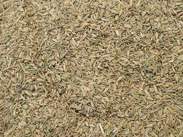 Close-up of a large heap of dried cumin seeds